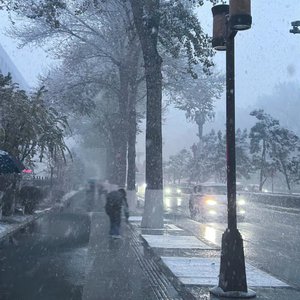 男男性恋免费视频网站
